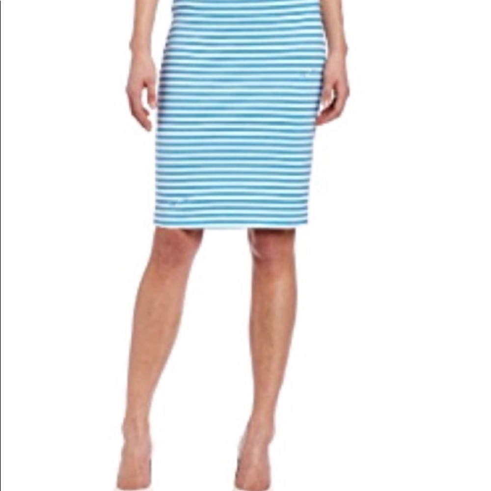 Lilly Pulitzer Blue Stripe Deacon Skirt M